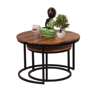 Modern Nesting Coffee Table Set of 2