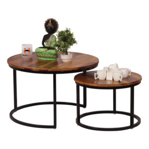 Modern Nesting Coffee Table Set of 2